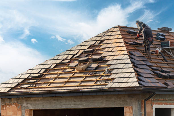 Best Roof Insulation Installation  in Holiday City Berkeley, NJ